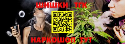 МДПВ Вязьма